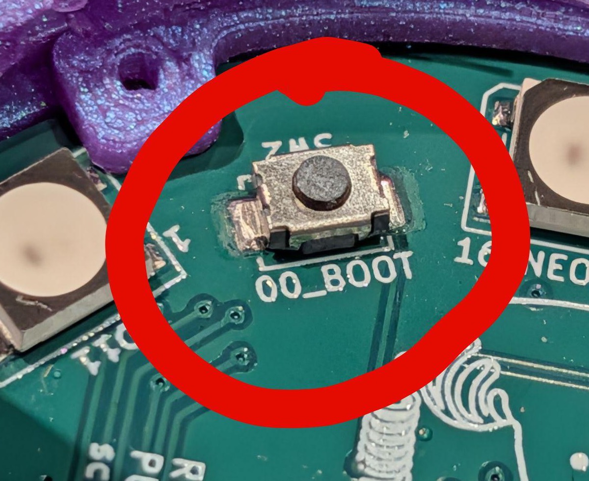 The BOOT button on the Newsheen board, circled in red, beside the 16 NEOPIXEL silkscreen label